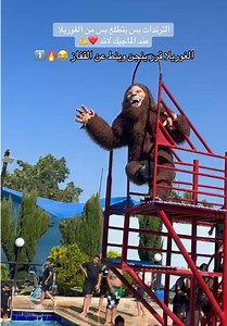 أجواء الغوريلا غير وين ما كان 😂💪1️⃣❤️ #السعادين #جنين_نابلس_طولكرم_رام_الله_فلسطين #وحش_الغوريلا😂 #عرب48 @3dnaan @مسبح ومنتزه ماجيك لاند🔥🏊🏻