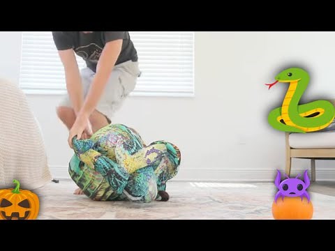 Try not 2 Break Extreme assisted Contortion //Snake Woman