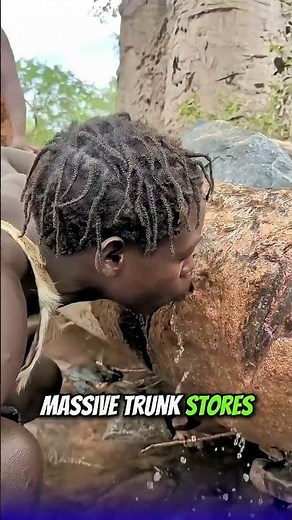 Nature's Strangest Trees Revealed!