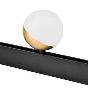 [Hot Item] Sleek Modern LED Ceiling Spotlights for Stylish Track Lighting