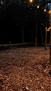 1.1K views · 13 reactions | ✨ Twilight Weddings at Eden Leisure...