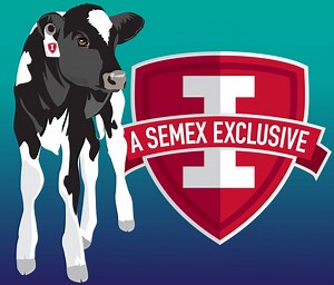 Semex on Reels
