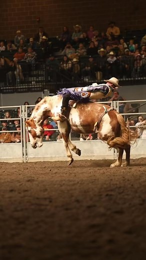 Rodeo. What’s your favorite event? #roguerodeo #csra #ura #mra #rodeo #broncs #bulls #barrels #roping | Stephanie Allgood