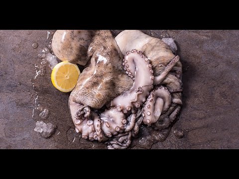How To Butcher an Octopus.