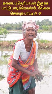 26K views · 1.7K reactions | களைப்பு தெரியாமல் இருக்க பாட்டு பாடிக்கொண்டே வேலை செய்யும் பாட்டி | Tamil Culture | Facebook