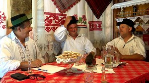 12K views · 128 reactions | U ovo ljetno vrime nalazimo se u seluMatković Mala! Prodivanili smo s Tomicom Lazićem, pučkim pjesnikom iz Podcrkavlja! | Slavonsko-brodska televizija | Facebook