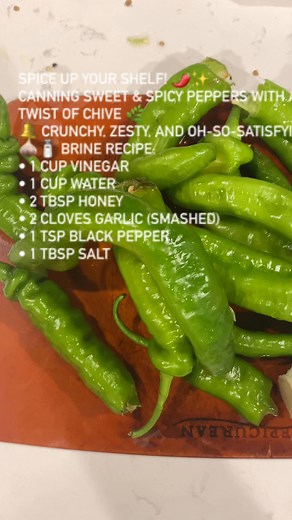 Spice Up Your Shelf! 🌶️✨Canning sweet & spicy peppers with a fresh twist of chive 🌿🔔 Crunchy, zesty, and oh-so-satisfying!🧄🧂 Brine Recipe:• 1 cup vinegar• 1 cup water• 2 tbsp honey• 2 cloves garlic (smashed)• 1 tsp black pepper• 1 tbsp saltPour over your sliced peppers chopped chives, seal, and enjoy the flavor pop all year long!#PepperCanning #HomePreserves #SweetHeat #ChiveAndSpice #CanningSeason #BuhayBuhaysaAmerika #gloryalltothelord | Bernadette Bercilla Pineda