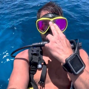 Shearwater Research on Reels