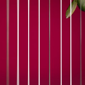 14K views · 429 reactions | Philharmonie de Paris on Reels | Facebook