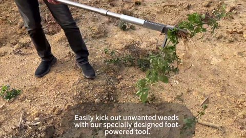 Weed Puller Tool, Stand Up Heavy Duty Weed Remover Tool with Long Handle, 48" Weeding Tool with Apron Gloves - 4 Claw Steel Head, Easy-Eject Mechanism, Remove Weeds Without Bending or Kneeling