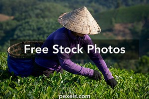 Best Full bush women Photos