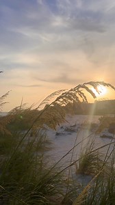 Sweet Sanibel sunset Golden hour last evening | On Island