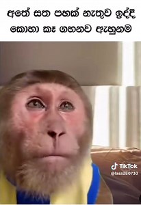 6.8K views · 101 reactions |  #Centigradz | Centigradz | Facebook