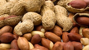 Long story short: peanuts aren't actually nuts and here's why