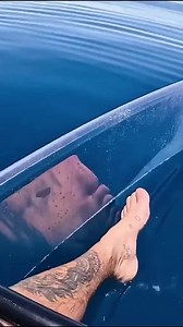 51K views · 677 reactions | Giant Shark Encounters That Will Haunt You Forever #shark #ocean #animal | Valkyrae | Facebook