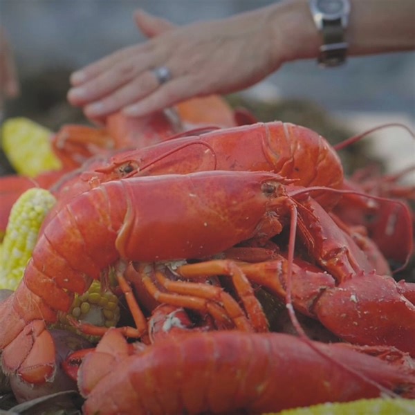 1.6K views · 11 reactions | Maine Lobster Boil. This could be your dinner tomorrow night! (Ask us how!) | Get Maine Lobster | Facebook