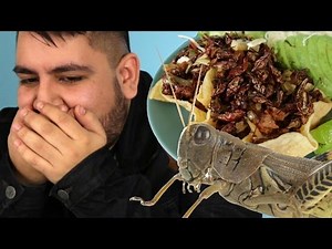Latinos Try Mexican Chapulines