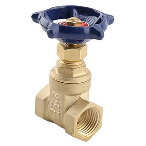 BW-LFG01 بدون شیر دروازه FF برنجی سربی - شیرهای BMAG | بهترین راه