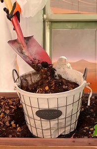 32K views · 15 reactions | These plants would even survive on Mars! | 5-Minute Crafts Teens | Facebook