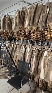 CHINA-JULY 2024 #fur #trapper #trapping #trappers #hunting #hunter #hunters #trappingseason #huntingseason #furbuyer #sellingfur #raccoontrapping #coyotetrapping #furisgreen #sustainablefashion #gfw | GFW
