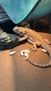 13K views · 122 reactions |...