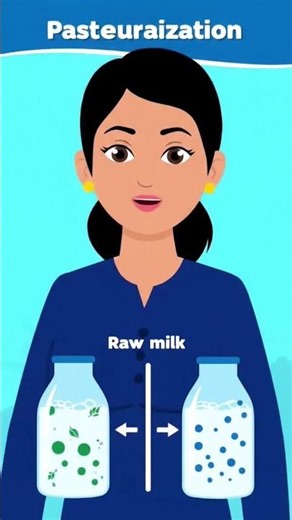Explain the process of how cow milk is pasteurized and why pasteurization is important for safety.