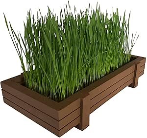 Certified Organic Wheatgrass Kit with Beautiful Wooden Countertop Planter, Soil & Organic Wheatgrass Seeds for 2 Crops, Spray Bottle & Easy to Follow Instructions. 100% Guaranteed to Grow.