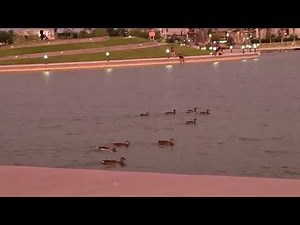 RIVERVIEW PARK MESA AZ