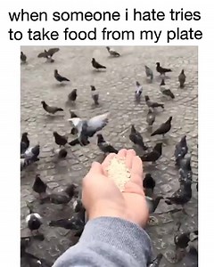 11K views · 101 reactions |  | Kitchen&More | Facebook