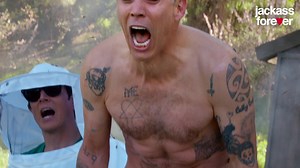 the bees are back and Steve-O sure sounds mighty happy about it… #jackassforever | Jackass