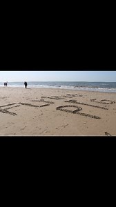 Home | The Flying Pig Beach Hostel