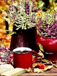 🎶🍂☕️📙🦋🐦 Autor: Zvonko Stipičić Skladatelj: Tonči Huljić Aranžman: Željko Beričić ℗ 1983 Croatia Records Video: Škrinjica | Škrinjica