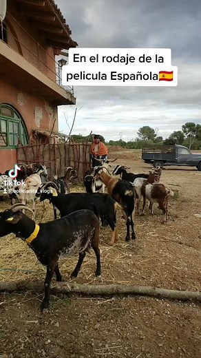 Un Hombre de Acción en Bolivia: Película Ambientada en el Altiplano Boliviano