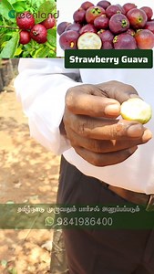 1.8K views · 34 reactions |  Exciting News for Gardeners!  We're...