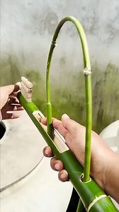 Making A Toy Launcher | Decoist