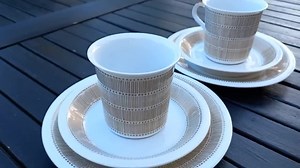 TEHRAN Vintage Tea Cup, Saucer and Cake Plate From ARABIA of FINLAND - Etsy Canada