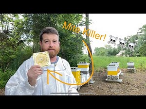 Applying Apiguard To Some Hives (DIE MITES DIE!!)