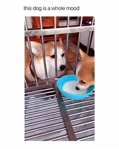 just gonna leave this here | Femaleclub