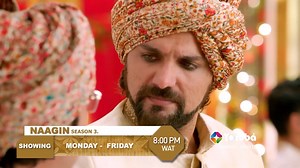 Chadhari Naag and Naagin, Vikrant and Ruhi are about to be united in marriage after a wait of 100 years. Their story however takes a dark turn when they cross paths with some murderous hooligans. Watch 'NAAGIN' showing Monday-Friday at 8pm on ST Yoruba. #styoruba #startimescares #naagin | StarTimes
