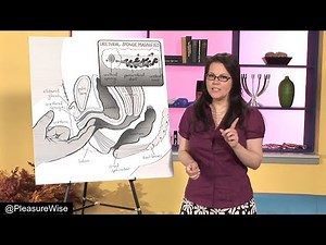 Expert Guide to the G-Spot