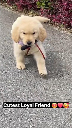 Lovely Loyal Friend ❤️🥰