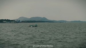 1.3K views | Increíble perro inteligente | Chaco adentro | Facebook