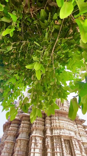 Hatkeshwar Mahadev Temple, Vadnagar, Gujarat 🚩 Hatkeshwar temple shree hatkeshwar mahadev darshan from vadnagar templeHatkeshwar Mahadev is ancient and historical temple located outside the Vadnagar, Gujarat. Hatkeshwar Mahadev temple is the principal deity of Nagar Brahmin key pilgrimage site for devotee of Lord Shiva. Current temple was carved 17th century outside town named Hatkeshwar Mahadev as Hatak means Gold. The roof of the sanctum has high towering Shikhar and walls are carved with var