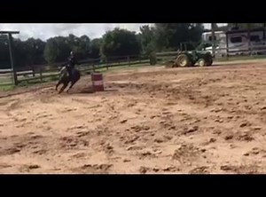 Fancy Fast Horses on Reels