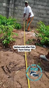 1.4K views · 20 reactions | Before and after fish farm setup at Imo State Nigeria. #fishfarming #pond #fypviralシ #trend #videos #fish #highlights | Pinnacle_AGRO_Services | Facebook