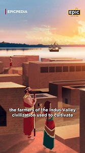 2.9K views · 44 reactions | Not just cotton, India also weaved...