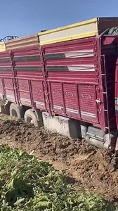 #truck #trucklife #truckdriver #truckjob #truckhub | Tractor