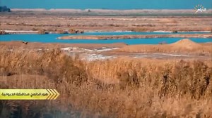 التنوع البيولوجي والجيولوجيا الرائعة في محمية هور الدلمج Al-Dalmaj Protected Area الحلقة الثانية - هور الدلمج - محافظة واسط. اعداد وتقديم : الدكتور عمر الشيخلي تصوير: علي هلال - اسماعيل سلام مونتاج: مهدي الحافظ - ستار الحربي اعمال: ستوديو الفن اخراج: محمد سالم إنتاج قناة الايام الفضائية ٢٠٢١ لمشاهدة الحلقة الثانية على اليوتيوب من خلال الرابط: https://youtu.be/SseHIQZZS08 | Iraqi Green Climate ORG - منظمة المناخ الأخضر العراقية