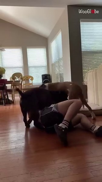 Epic Handstand Fail: Calisthenics Challenge Gone Wrong! || WooGlobe