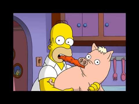 Musique rencontre Homer et Spider Cochon dans Les Simpsons : Le film